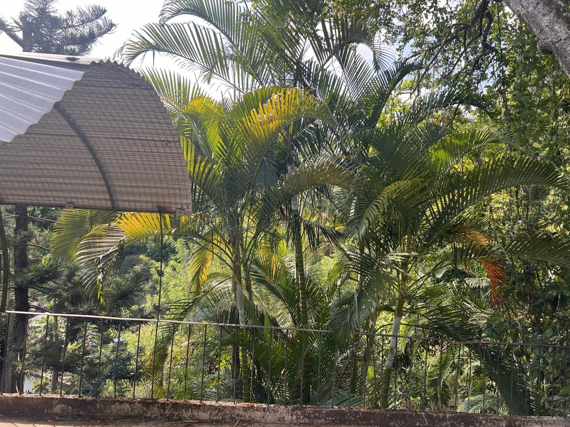 Canopy Villa كاندي المظهر الخارجي الصورة